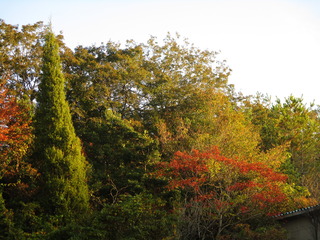 IMG_6293.JPG